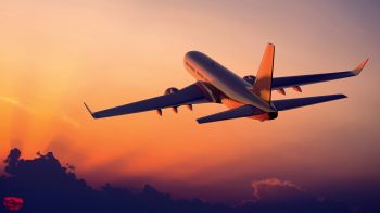 Artigo: A asa do avião é importante, mas o leme e o consenso também são. Uma metáfora para a gestão pública.